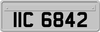 IIC6842