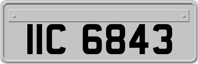 IIC6843