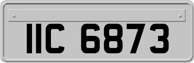 IIC6873