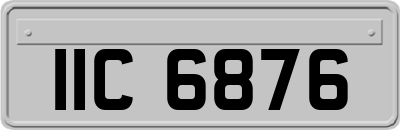 IIC6876