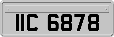 IIC6878