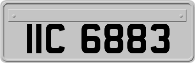 IIC6883