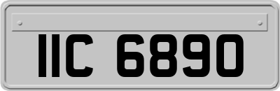 IIC6890