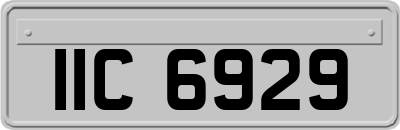 IIC6929