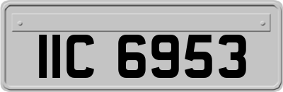 IIC6953