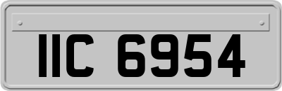 IIC6954