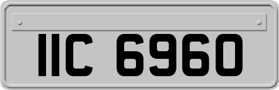 IIC6960