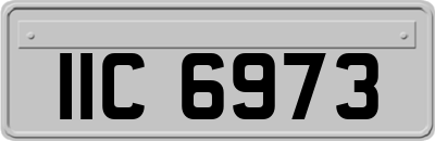 IIC6973