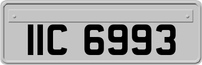 IIC6993
