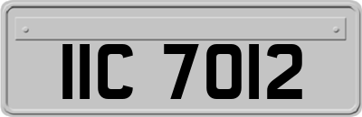 IIC7012