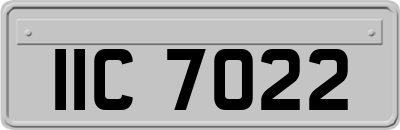 IIC7022