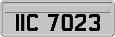 IIC7023