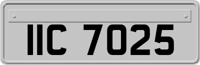 IIC7025
