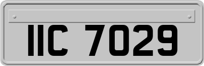 IIC7029