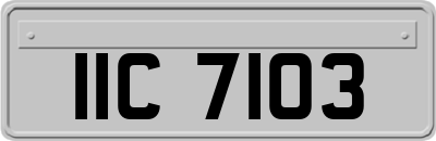 IIC7103