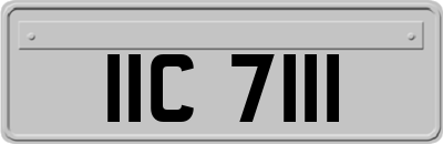 IIC7111