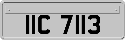 IIC7113