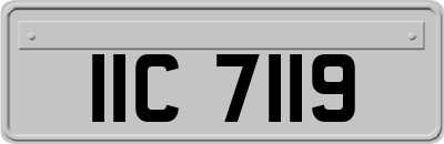 IIC7119