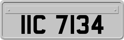 IIC7134