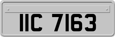 IIC7163