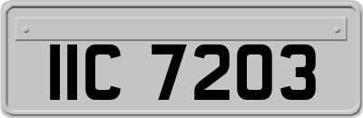 IIC7203