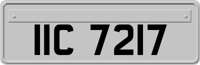 IIC7217
