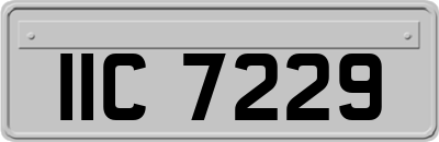 IIC7229