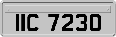 IIC7230