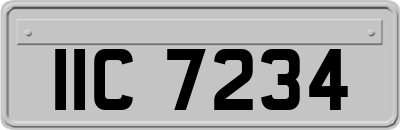 IIC7234