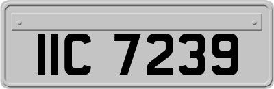 IIC7239