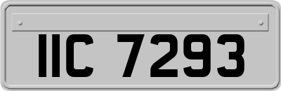 IIC7293