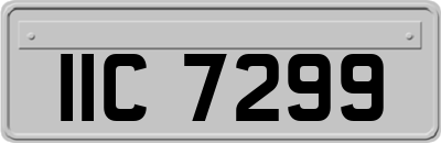 IIC7299