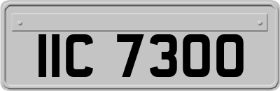 IIC7300