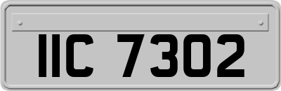 IIC7302