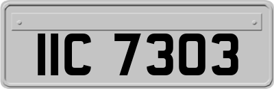 IIC7303