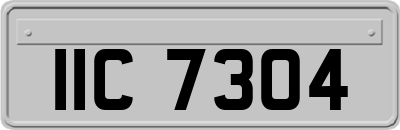 IIC7304