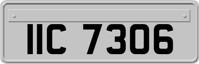 IIC7306