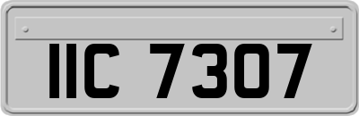 IIC7307