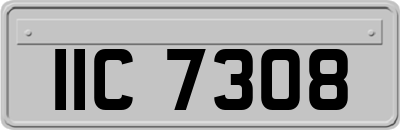 IIC7308