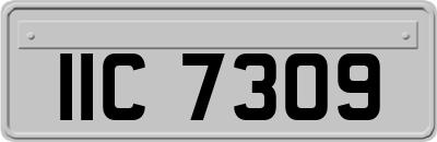 IIC7309