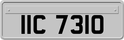 IIC7310