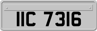 IIC7316