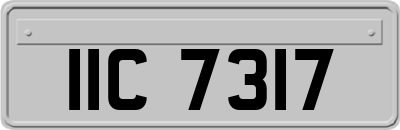 IIC7317