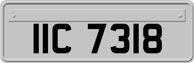 IIC7318
