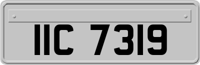 IIC7319