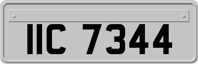 IIC7344