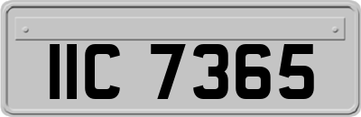 IIC7365