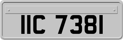 IIC7381