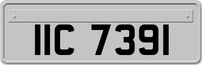 IIC7391