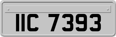 IIC7393
